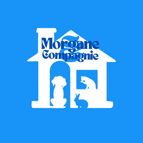 morganeandcompagnie